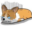 해봄공인중개사사무소 이미지