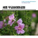 세종동_전월산 무궁화 테마공원 | 세종 여름 산책하기 좋은 무궁화테마공원