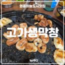 고가네생막창 네이버블로그