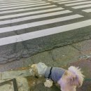 부리나참숯불바베큐 이미지