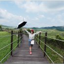 산수목장 이미지