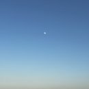 동해를그리다