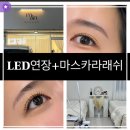 뮤엔온