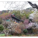 (주)복사꽃사람들 이미지