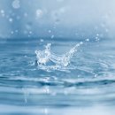 순수바이오 연구소 이미지