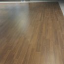 포레스트31 이미지