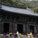 흥성마을 | 흥국사, 북한산 자락 천년고찰을 입체적으로 읽는 법