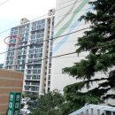 사하구 낙동대로 이미지