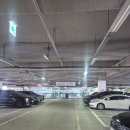 스피드메이트 포항제1점 | [노량진 초밥 맛집] 고퀄리티 회전초밥을 무한으로..! 스시101 감동후기.. ☆