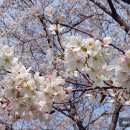 대구선동촌공원2 이미지