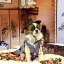 (주)이공플랜 네이버블로그