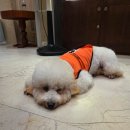 골드스파사우나 | 나트랑 골드리프 럭셔리 스파 후기 황제 콤보2, 키즈 아로마 마사지까지 완벽했던 하루