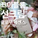 코이 선크림 톤업 후기! 고현정선크림으로 봄철선크림추천