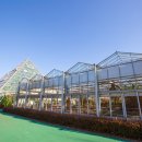 힐링솔가 이미지