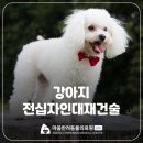 지리산동물병원 이미지