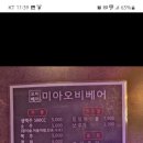 오비베어 이미지