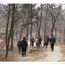 2009.3.12. 청량산 이미지