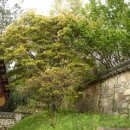 대산마을 이미지