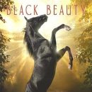 정철희 국제승마센터 이미지