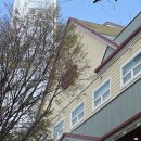 호수피드 | [내돈내산 후기] 서울 석촌호수 인근 패밀리레스토랑 아웃백스테이크하우스(OUTBACK) 잠실점