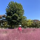 미사경정공원 이미지