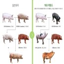 고기감성