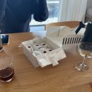 스테이 경화 이미지