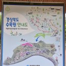 경상북도수목원 볼거리 많은 포항 데이트코스 추천