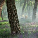 박호성 농장 이미지