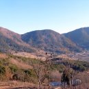이명산농장 Daum카페