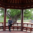 장덕리은행나무 이미지