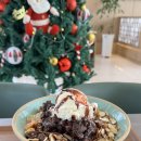 제일초등학교 | 화순 애견동반 카페 | 전남 화순 브런치 카페 알메로 커피 앤 브런치 후기