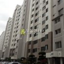 상무대로1-2 Daum카페