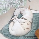 꽃바늘공방 | 광주 북구 원데이클래스 추천, 혼자서도 즐거운 가죽공예 지우지누 공방