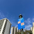 플러스그린렌트카 | [호놀룰루] 하와이 핑크트롤리 무료 탑승 방법! JCB 카드로 이용한 후기!