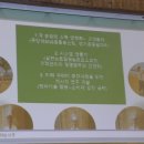 김태희의팜스쿠키 이미지