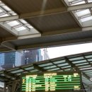 지비인터내셔날 | 2025 부국제 후기