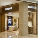 다미아니 카카오 검색결과