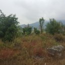 산 목장 이미지