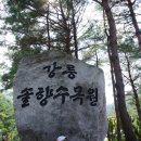 솔향펜션 이미지