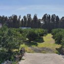 조천농장 이미지