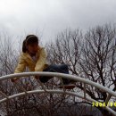 쌍계초등학교 이미지