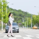 일단정지 이미지