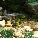 황토와소나무 이미지