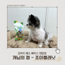 (주)조이플래닛 네이버블로그