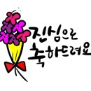 샬롬에코
