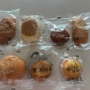 파스쿠찌영천