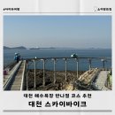 대천해수욕장 아이와 스카이 바이크 머드광장 전동카 풍미꽃게장게국지