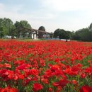 와야농장 이미지