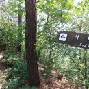 송림길삼거리 이미지